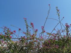 -福州大学(旗山校区)