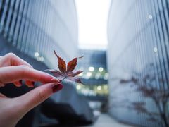 -南京大学杜厦图书馆