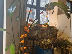 -BOCATA 西班牙餐厅(三里屯店)