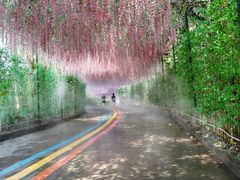 -东莞观音山旅游风景区