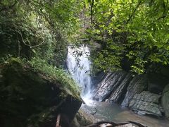 -江西阳明山国家森林公园