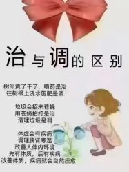 -金美秀瘦身养生