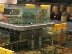 -品悦酒店(三林古镇店)