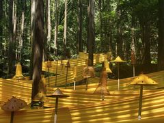 -波尔登森林公园