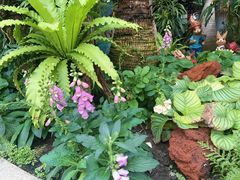 -北京植物园-展览温室