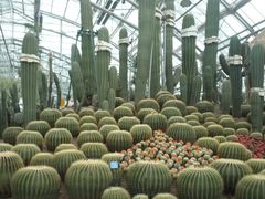 -南山植物园