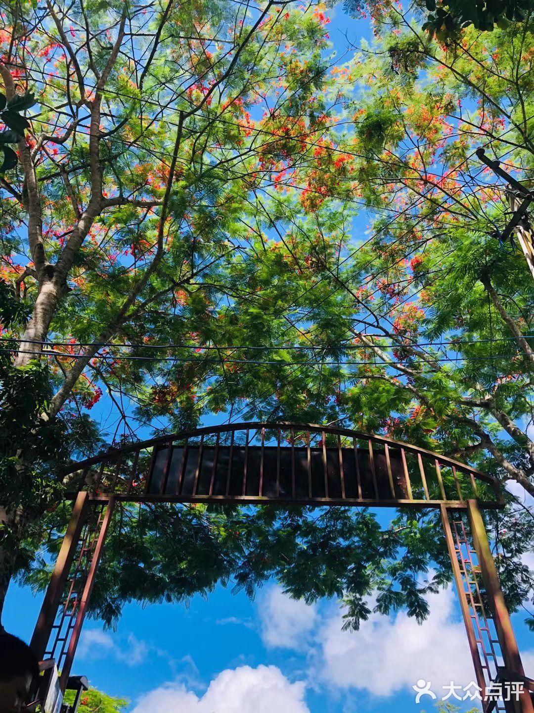 气候宜人，天热氧吧，非常合适养生和养心