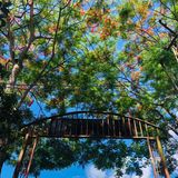 气候宜人，天热氧吧，非常合适养生和养心