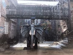 -北京呀路古热带植物园