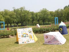 -东方绿舟景区
