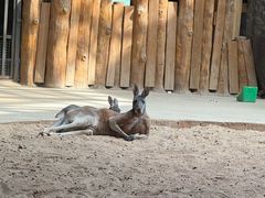 -鄂尔多斯野生动物园