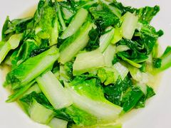-大鸽饭(马王堆店)