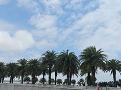 -野狸岛