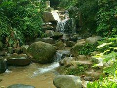 -火炉山森林公园