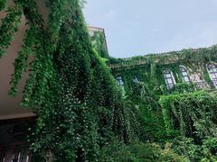 -府河摄影公园