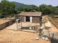 -无锡动物园·太湖欢乐园