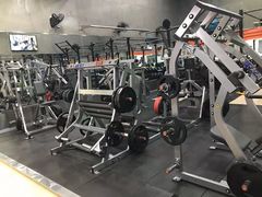 -健身专家Wellness Experts