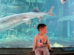 -华夏文旅西安度假区