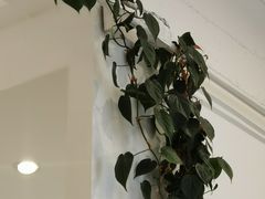 -六朵云照相馆(喷水池店)