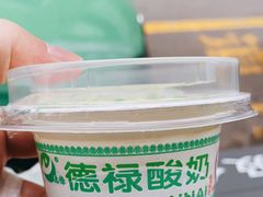 -德禄酸奶(莫家街店)