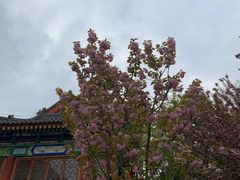 -终南山古楼观历史文化景区