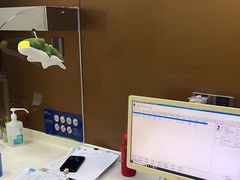 -圣贝口腔(海淀店)