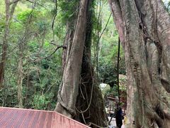 -七仙岭温泉国家森林公园