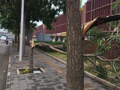 -西二旗(地铁站)