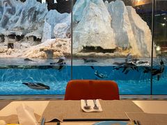 -帝企鹅自助餐厅•儿童岛•真企鹅(长隆企鹅酒店)