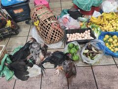 -西双版纳集贸市场