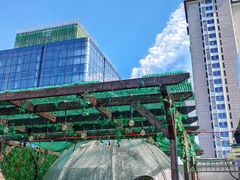 -遇见阿家村云南菜(魏公村店)