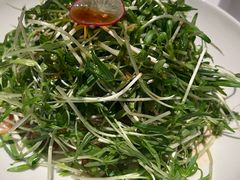 豆苗-凤凰湘语(浦东旗舰店)