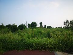 -滆湖低碳生态公园