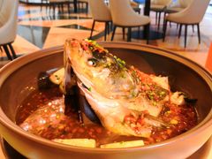 -满福隆酒楼(万绿园店)