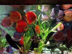 -上海海洋水族馆