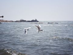 -老虎石海上公园