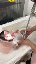 -爱婴室(上海浦建路店)