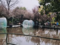 -八大山人梅湖景区