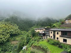 -杨家堂村