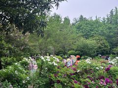 -洛阳市隋唐城遗址植物园