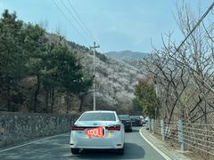 -妙峰山风景名胜区