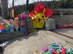 -羊山湖公园