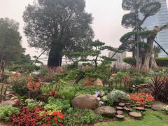 -南宁南湖公园