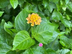 -苏州河梦清园环保主题公园