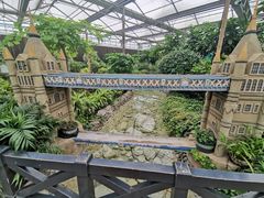 -南宫五洲植物乐园