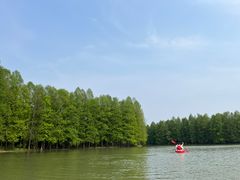 -上海海湾国家森林公园