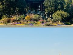 -西湖外事游船(花港观鱼码头)