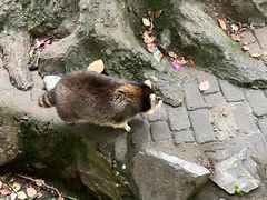 -杭州动物园