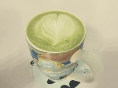 -喵的天空名猫咖啡馆·撸猫·猫舍·用品