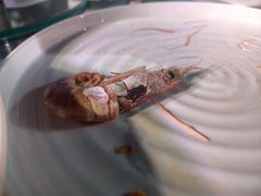 -长春国际会展中心大饭店